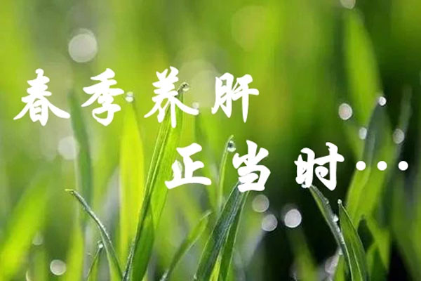 养肝护肝,养肝,护肝